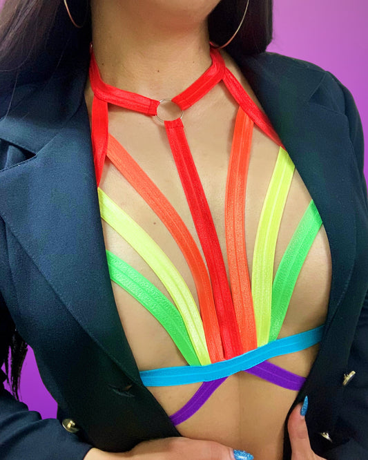 Rainbow Harness - Limited time only!